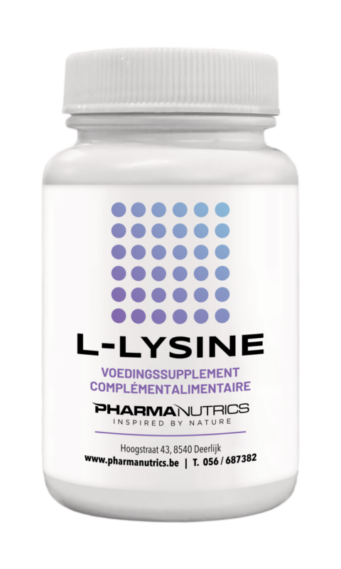 L Lysine