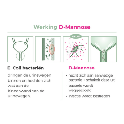 Werking_D_Mannose (200 x 200 px) (400 x 400 px) d-mannose-werking